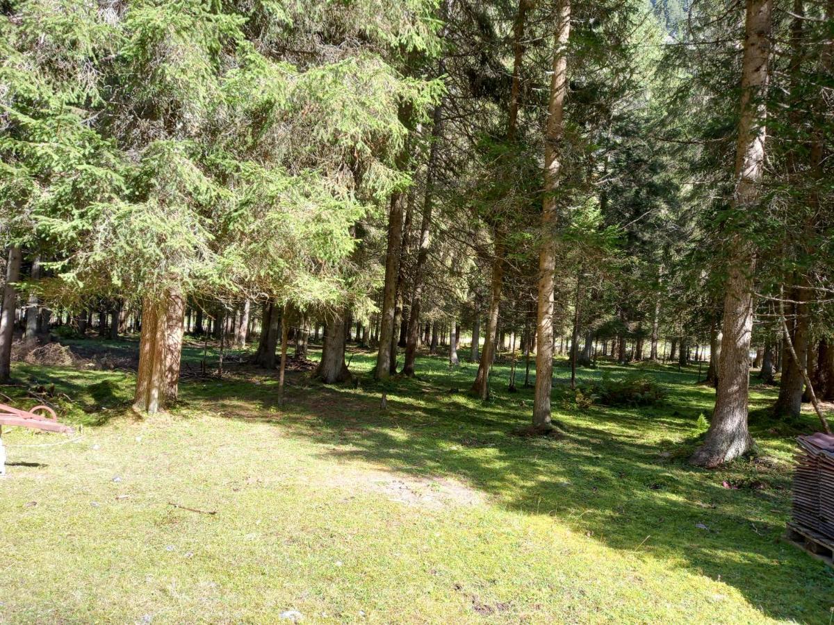 דירות סנט לאונרד אים פיצטל Haus Waldfriede מראה חיצוני תמונה